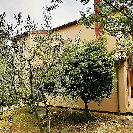 Livio 38 *